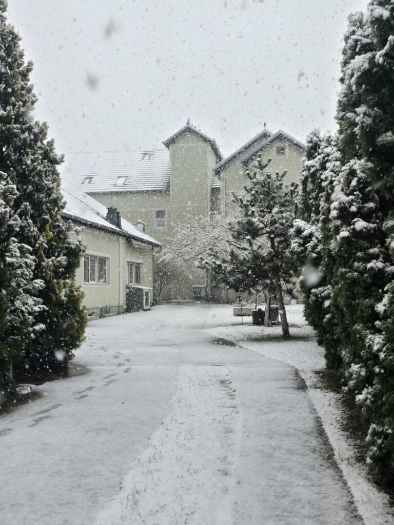 Zimski Praznici u Domu za Stare Padina – Zajedno u Novu Godinu!”
